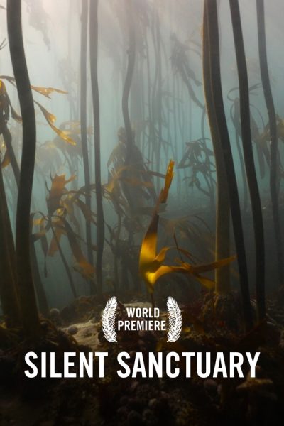 VIMFF Films x The Silent Sanctuary