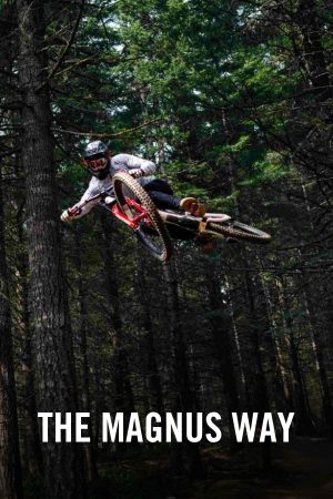vimff The Magnus Way