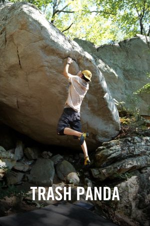 VIMFF Films x Trash Panda