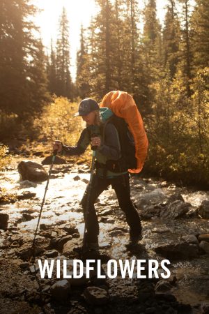 VIMFF Films x Wildflowers