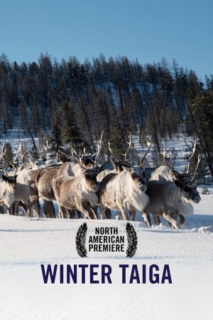 VIMFF Films x Winter Taiga