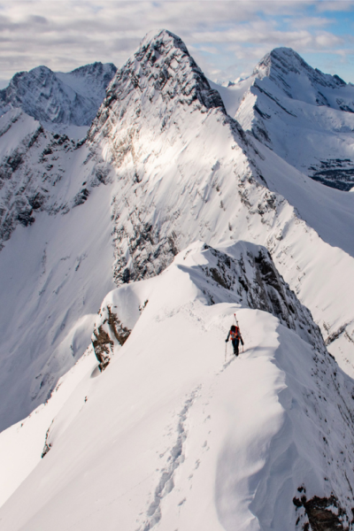 vimff world premiers