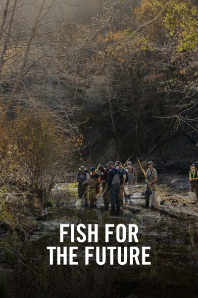 VIMFF X Fish for the Future