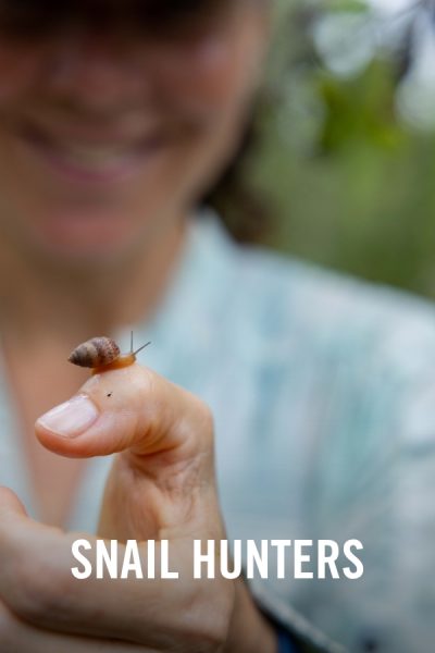 VIMFF X Snail Hunters