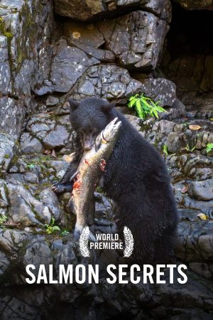 VIMFF x Salmon Secrets