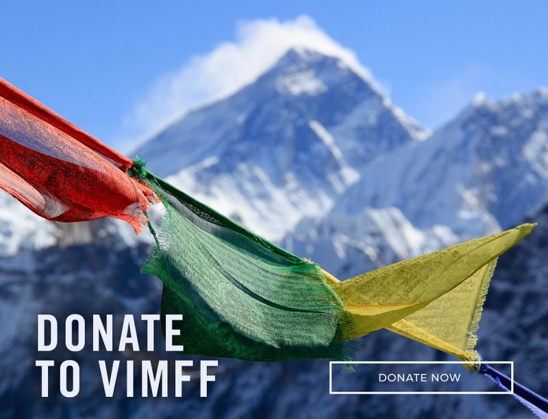 vimff donate to vimff cta