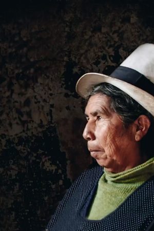 vimff fall series 2020 anay kachi featured 3