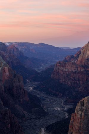 vimff fall series 2020 forever is now featured