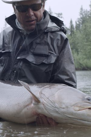 vimff fall series 2020 river tigers featured