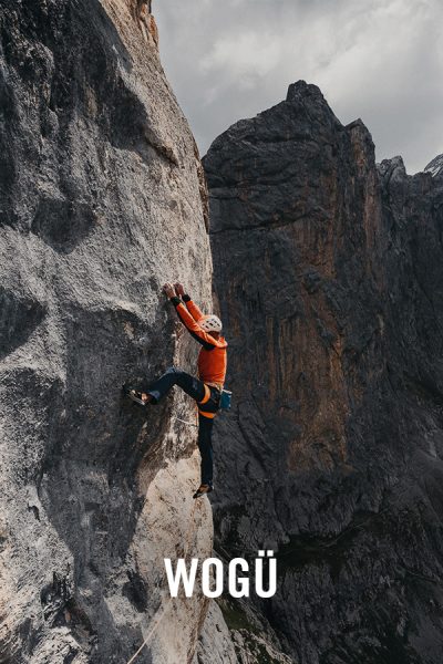 vimff fall series WoGu x