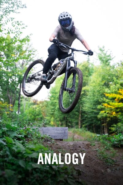 vimff fall series x Analogy