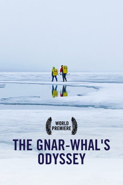 vimff fall series x the gnar