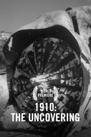 vimff fall series _ The Uncovering