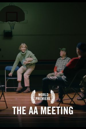 vimff fall series The AA Meeting