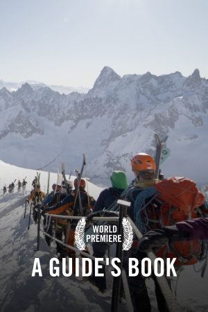 VIMFF fall series A Guide_s Book