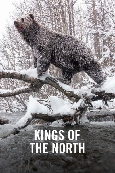 VIMFF FS Film x Kings of the North