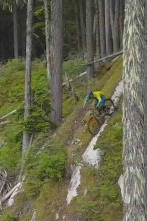 vimff in our nature featured